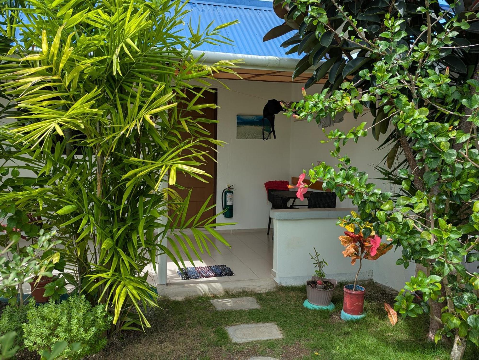 Astillo'S Guest Houses Moalboal Δωμάτιο φωτογραφία